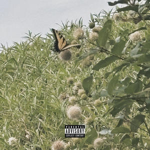 outside the lot (Explicit)