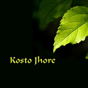 Kosto Jhore