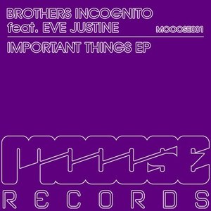 Important Things (Original Mix)