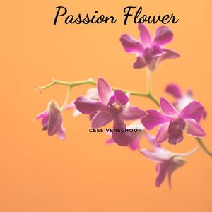 Passion Flower