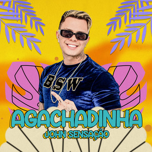 Agachadinha