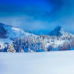 We Wish You a Merry Christmas