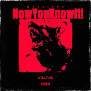 NowYouKnowIt! (Explicit)