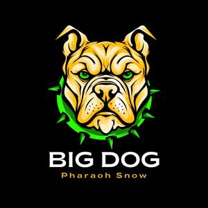 Big Dog (Explicit)