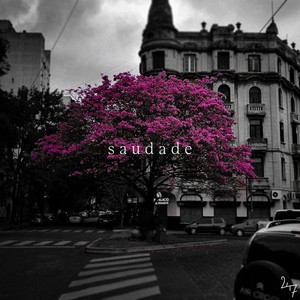 fragancia