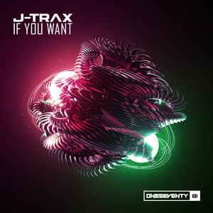 If You Want (Original Mix)