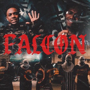 Falcon