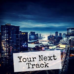 Your Next Track, Vol. 11