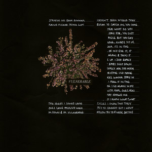 Vulnerable (Explicit)