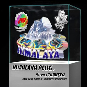 HIMALAYA PLUG