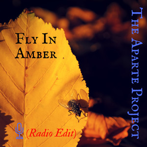 Fly in Amber