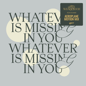 Whatever Is Missing In You (Aeroplane Motion Extended Mix)
