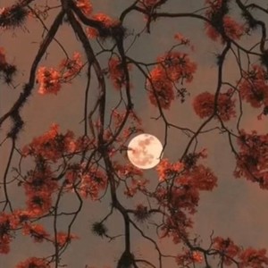 lost hope again...(feat. yung prod)