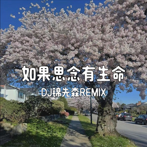 如果思念有生命 (Dj锦先森 remix)