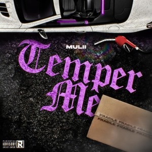 Temper Me (Explicit)