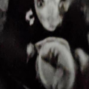 Keep it simple (feat. Proppa) (Explicit)