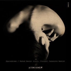 Naked Bacon (Vincent Casanova Remix)