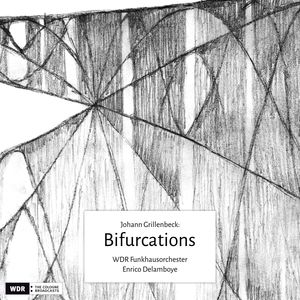 Bifurcations