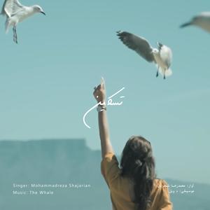 Taskin (Rework of M.R Shajarian)