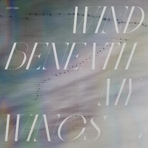 Wind Beneath My Wings