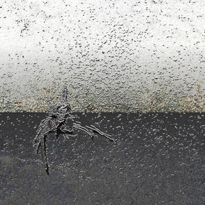 RAPACE (feat. cancri) (Explicit)