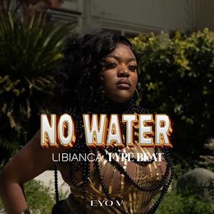 NO WATER LIBIANC TYPE INSTRUMENTALS