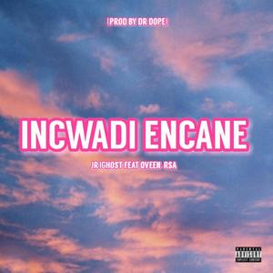 incwadi encane (feat. qveen-rsa) [Radio Edit]