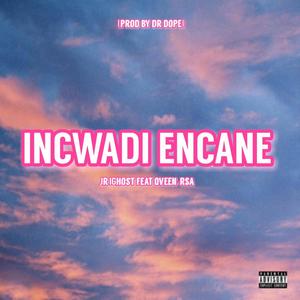 incwadi encane (feat. qveen-rsa) (Radio Edit)