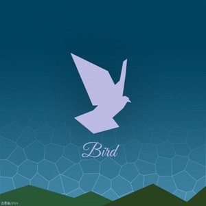 鸟 (那些看似抓没抓住的时间)