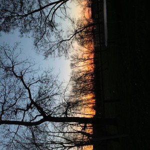 Mind(feat. Baby Bloom & Fe4rz) (Explicit)