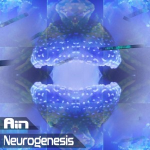 Neurogenesis