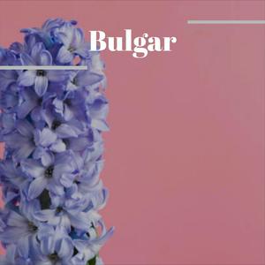 Bulgar