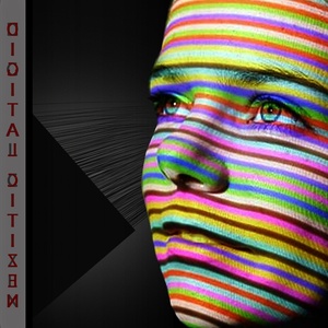 Digital Citizen_Sector_ One One One