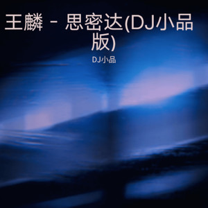 DJ小品 - 思密达 (DJ小品 remix)