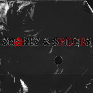 Snakes & Spiders (Explicit)