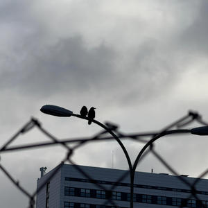 Vampiry i Duchy (Explicit)