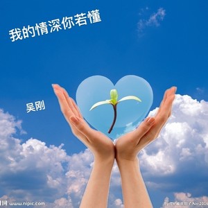 我的情深你若懂