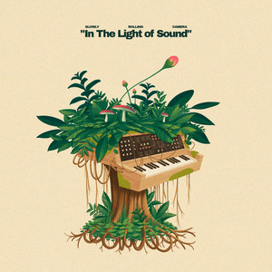 In The Light of Sound