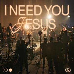 I Need You Jesus