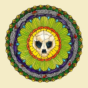 Turtle Skull