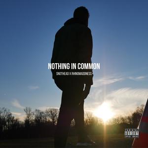 Nothing In Common (feat. RhinoMaddness) [Explicit]