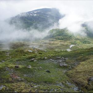 Malfuntion in the forest (Explicit)