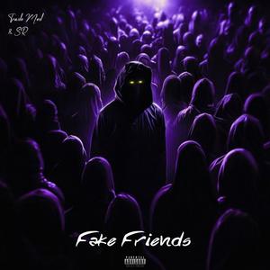 Fake Friends (Explicit)