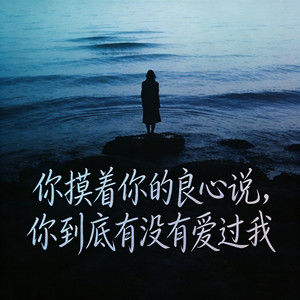 你摸着你的良心说 (你到底有没有爱过我)封面