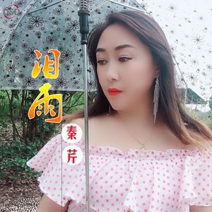 泪雨 (Remix)
