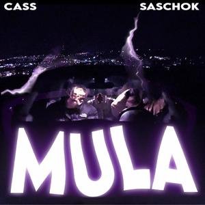 MULA (feat. Saschok & DeadlineOnDaBeat) (Explicit)