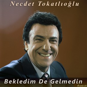 Bekledim De Gelmedin