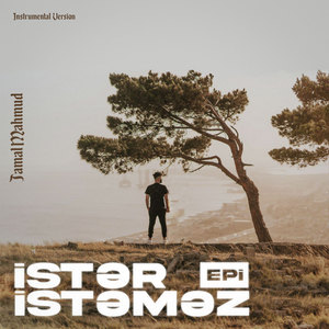 İstər İstəməz (Instrumental Version)