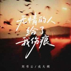 无情的人给了我伤痕 (对唱版)
