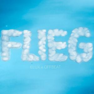 FLIEG